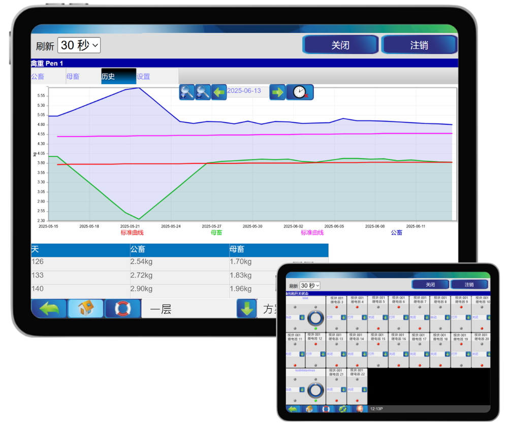 P-Series graph virtual switch ZH 400x338px.png